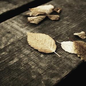 插插欧美综合网
