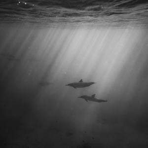 插插欧美综合网
