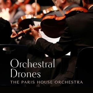 插插欧美综合网
